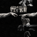 Black Luxury collection — six impasto wallpapers